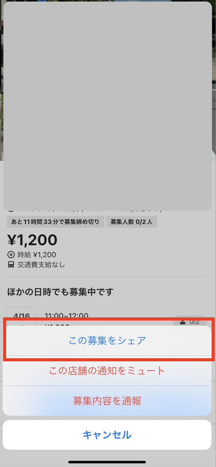 タイミー 募集 この募集をシェア